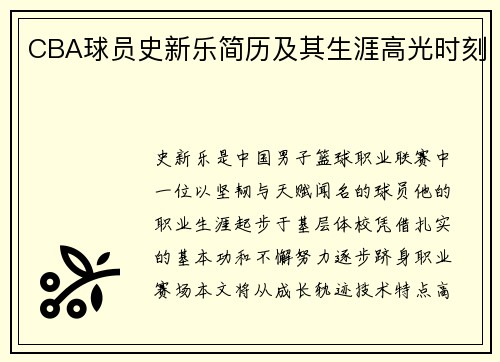 CBA球员史新乐简历及其生涯高光时刻